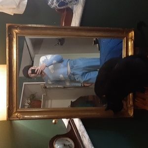 Pink rose white cloud top size medium